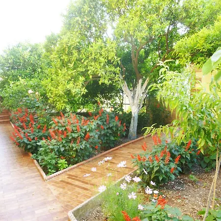 Apartment Altini *