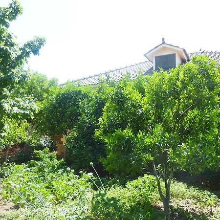 Apartment Altini *