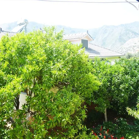 Apartment Altini Borsh