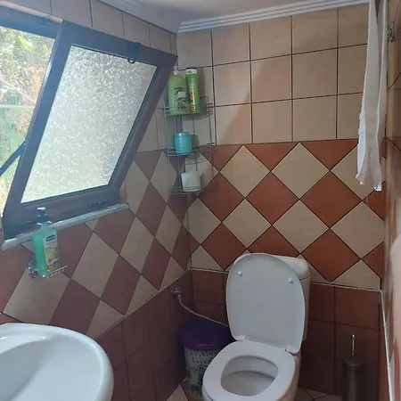Altini Apartment Borsh